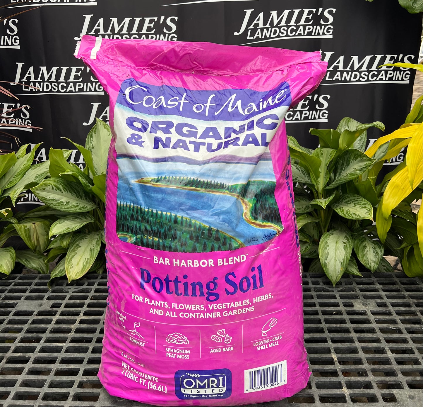 Coast Of Maine Potting Soil 2 Cubic Feet